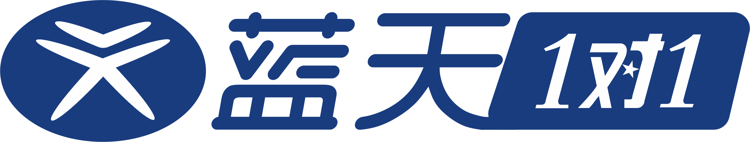 蓝天1对1